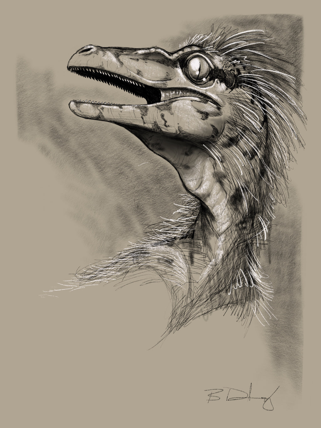 12x18 Raptor Head Limited Edition Artist Print